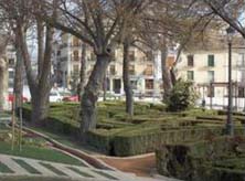 Algunos de los jardines que pretend&iacute;a eliminar el ayuntamiento alegando su mal estado de conservaci&oacute;n